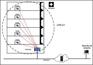 fig3-ingenus